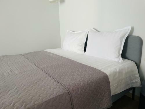 Apartamentas Tarp Pusu