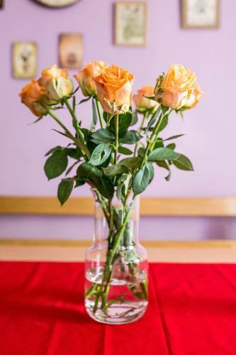 Agroturismo Cozy Istrian House