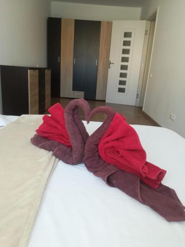 Apartamento Hulu Coresi 11