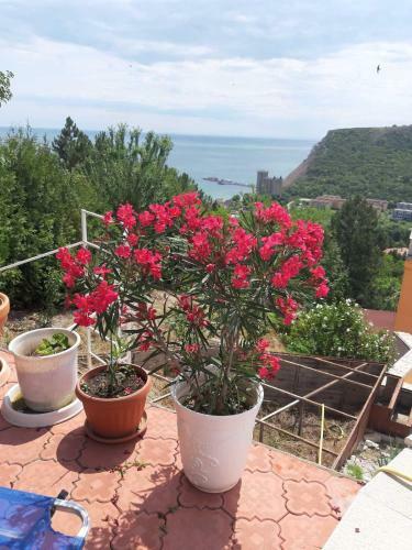 Apartamento Green, Quiet And Beautiful!