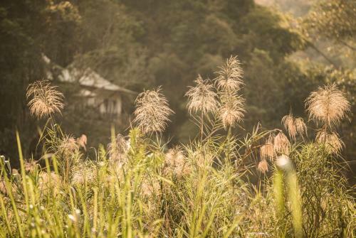 Hotel Four Seasons Tented Camp Golden Triangle