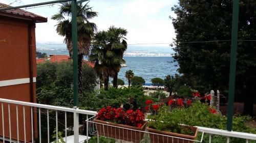 New Apartman Ziganto Z