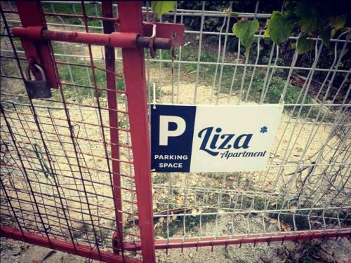 Liza's Downtown Apartment