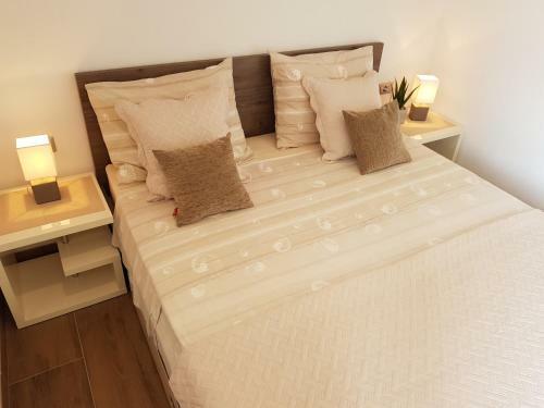Luxury Apartment Huljic