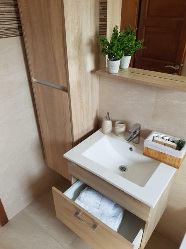 Luxury Apartment Huljic