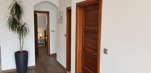 Luxury Apartment Huljic