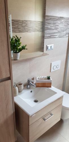 Luxury Apartment Huljic