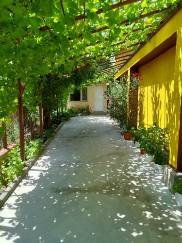 Hostal Pensiunea Lyo