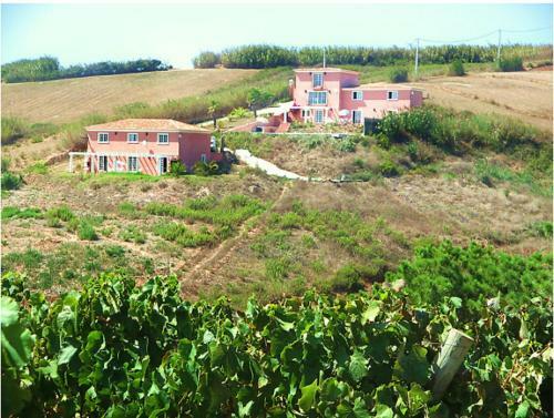 Apartamento Quinta Das Palmeiras
