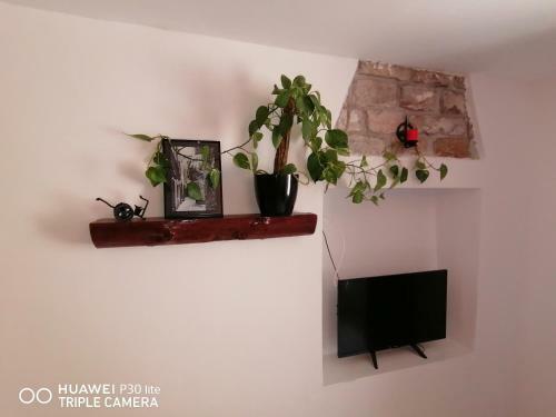 Mirta & Eva Apartments