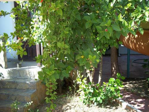 Erciyes Apart Hotel