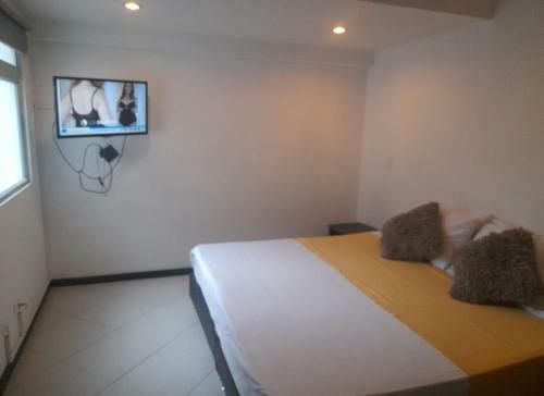 Vip Apartasuites Laureles