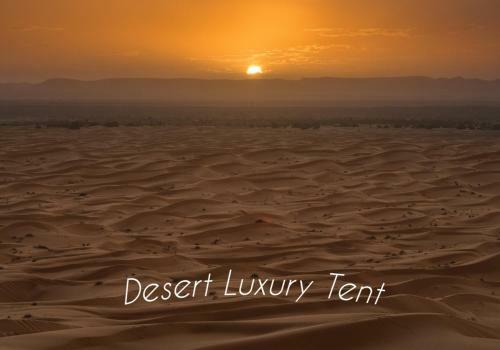 Hotel Desert Luxury Tent