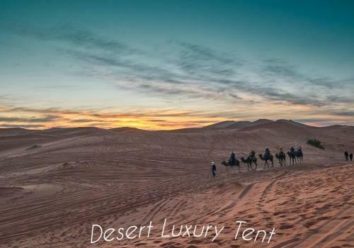 Hotel Desert Luxury Tent