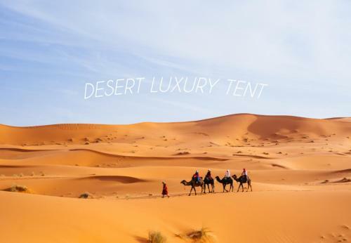 Hotel Desert Luxury Tent