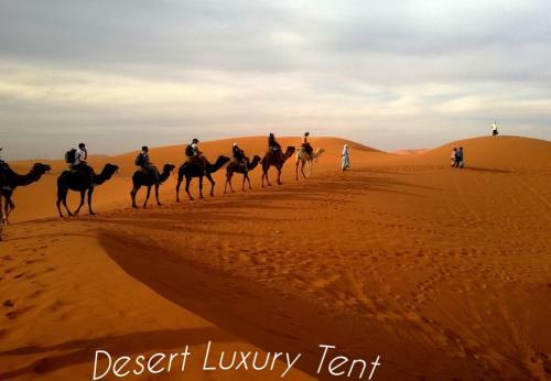 Hotel Desert Luxury Tent