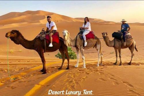 Hotel Desert Luxury Tent