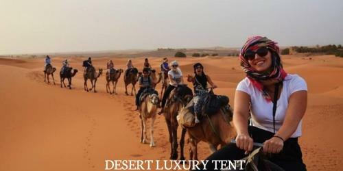 Hotel Desert Luxury Tent