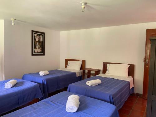 Hotel Campestre Davilejas