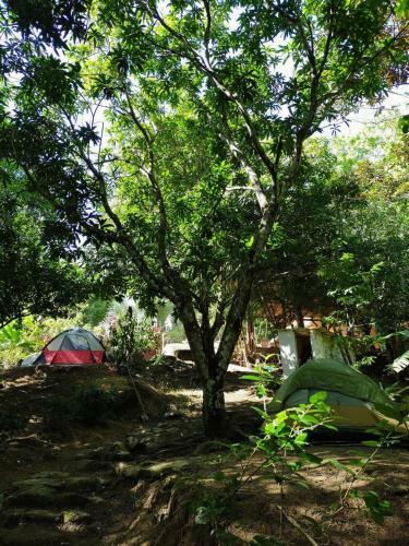Lodge Hostal Dos Quebradas