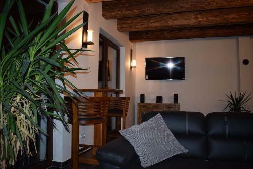 Villa Podle?ansk� Ml�n S Wellness