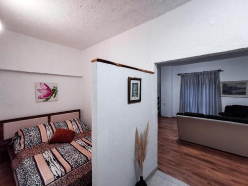 Apartments Pekica