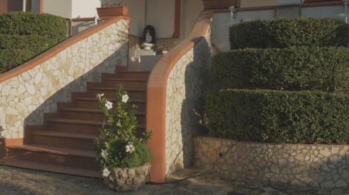Bed & Breakfast Lodico Country House