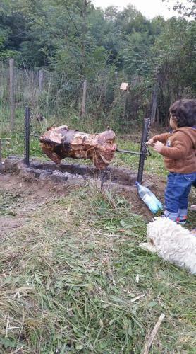Agroturismo Casa Piscul Lupului