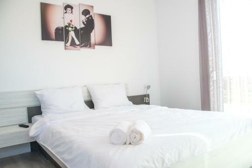Riverside-modern Apartment-ared