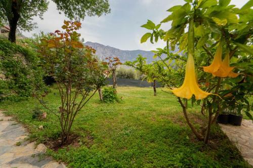 Villa Alemdaro?lu Secret Garden