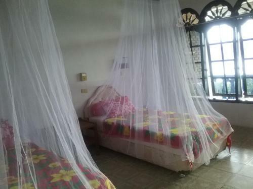 Hostal Sony Guesthouse