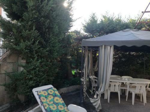 Home Holiday