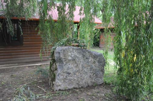 Turul Guesthouse And Camping