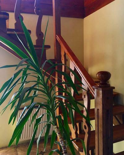 Agroturismo Villa_vovkal