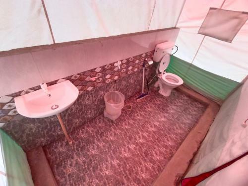 Hotel Tirthan Village Camps
