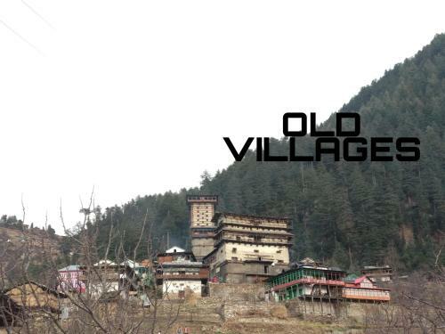 Hotel Tirthan Village Camps