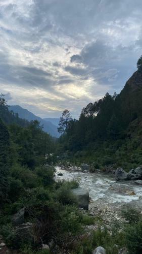 Hotel Tirthan Village Camps