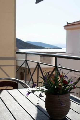 Apartamento Hara's Studio