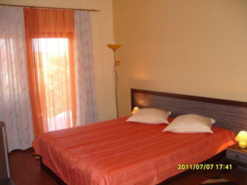 Hostal Pensiunea Ruxandra