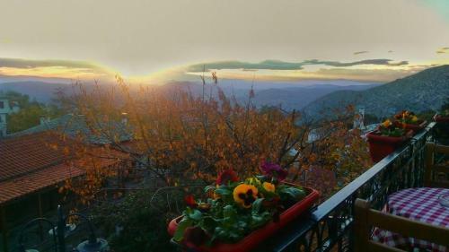 Hotel Mansion Kantartzi