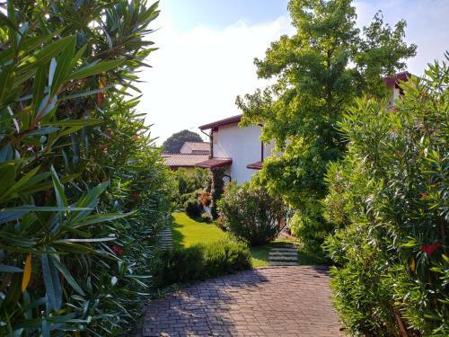 Haus Col�