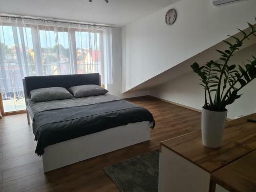 Apartamento Willa Alexandra