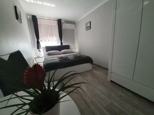 Apartamento Willa Alexandra
