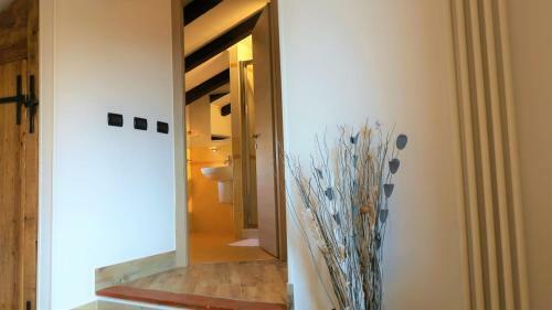 B&B Dal�