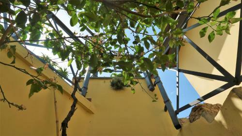 B&B Dal�