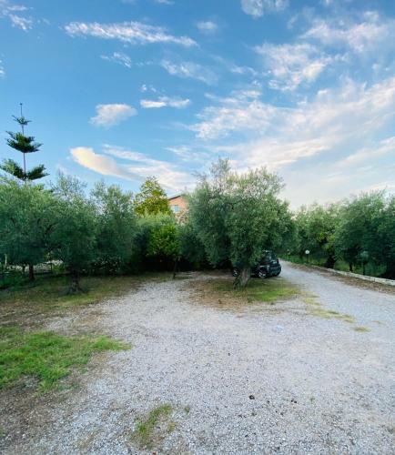 Cali-formia B&B