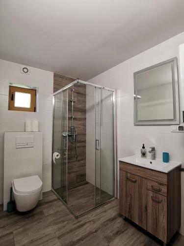 Apartamento Bieszczadzki Hals - Dom Bli?niak