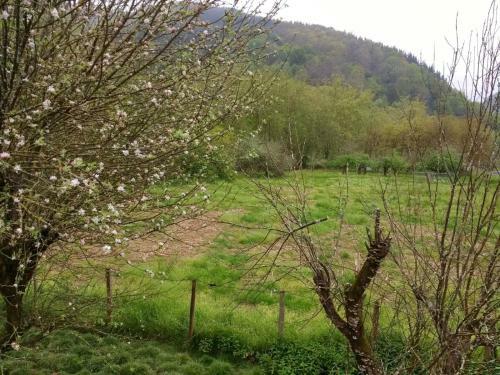 Agroturismo Bentzuntzibar