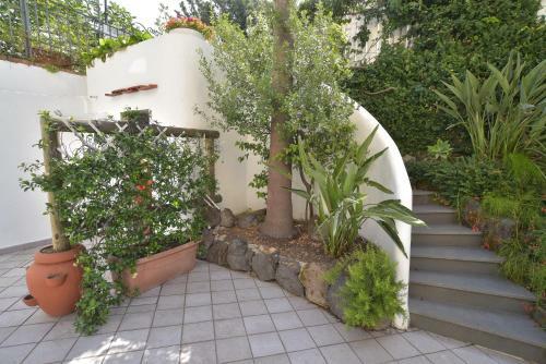 Apartamento Cocos Ischia