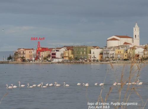 L'isola Aer B&B